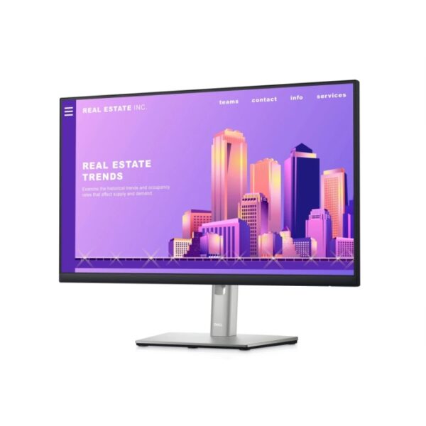 Dell P2422H 24INCH